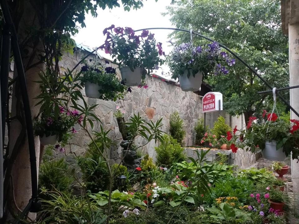 Pancho Family Hotel Kranevo Dış mekan fotoğraf